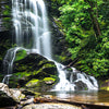 Hexagon-Fototapete Wasserfall mit Bach M0006