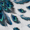 Square photo wallpaper peacock feathers M0008
