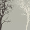 Hexagon-Fototapete Silhouetten von Bäumen M0015