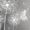 Quadratische Fototapete Pusteblumen mit Schmetterlingen M0029