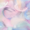 Square photo wallpaper colorful feathers M0039