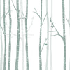 Panoramic photo wallpaper minimalist trees, birches M0089