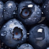Panoramic photo wallpaper blueberries M0094
