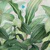 Photo wallpaper Tropical plants M6912