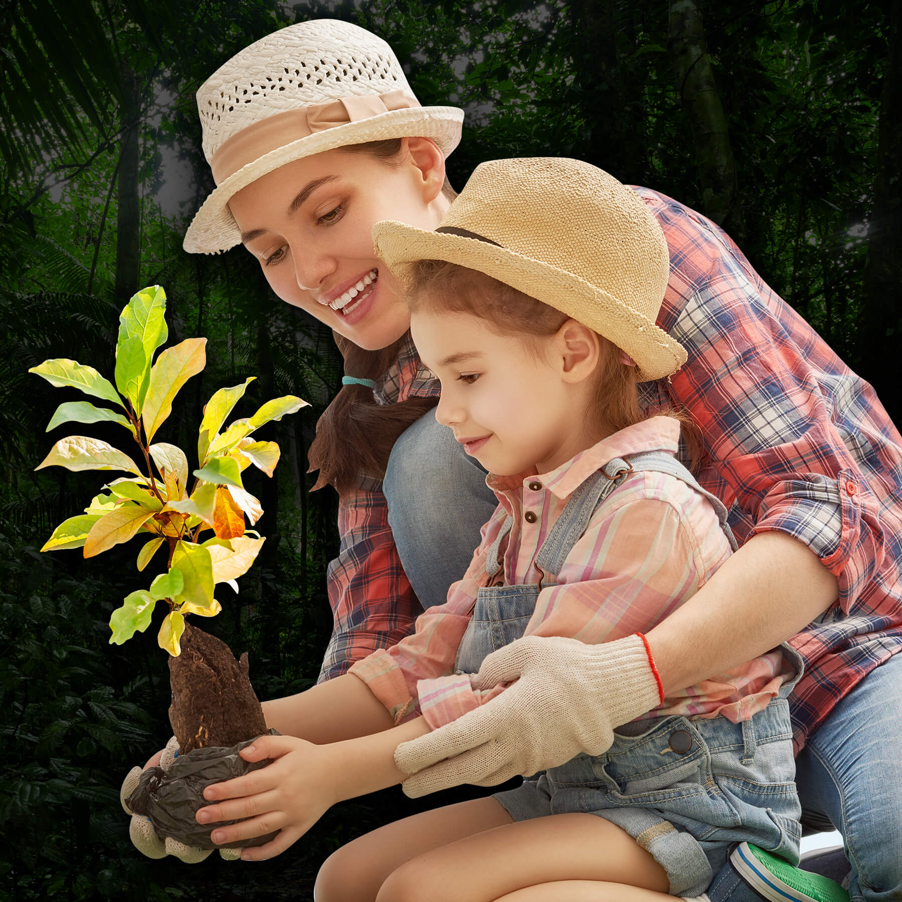 Sustainability - wandmotiv24 - plant a tree