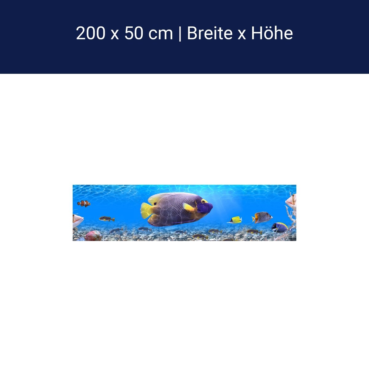 Panoramic photo wallpaper underwater world 1 M0001