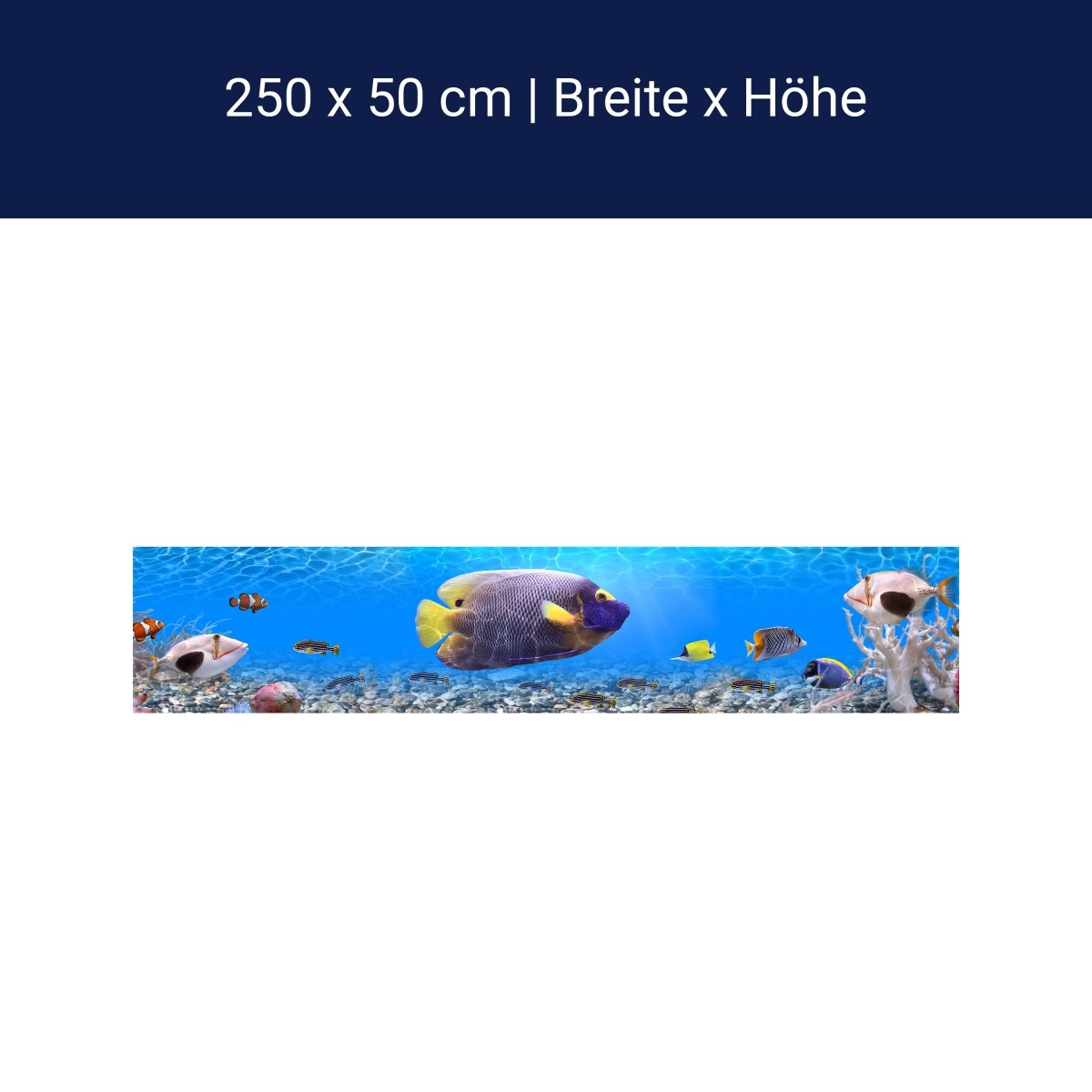 Panorama-Fototapete Unterwasserwelt 1 M0001