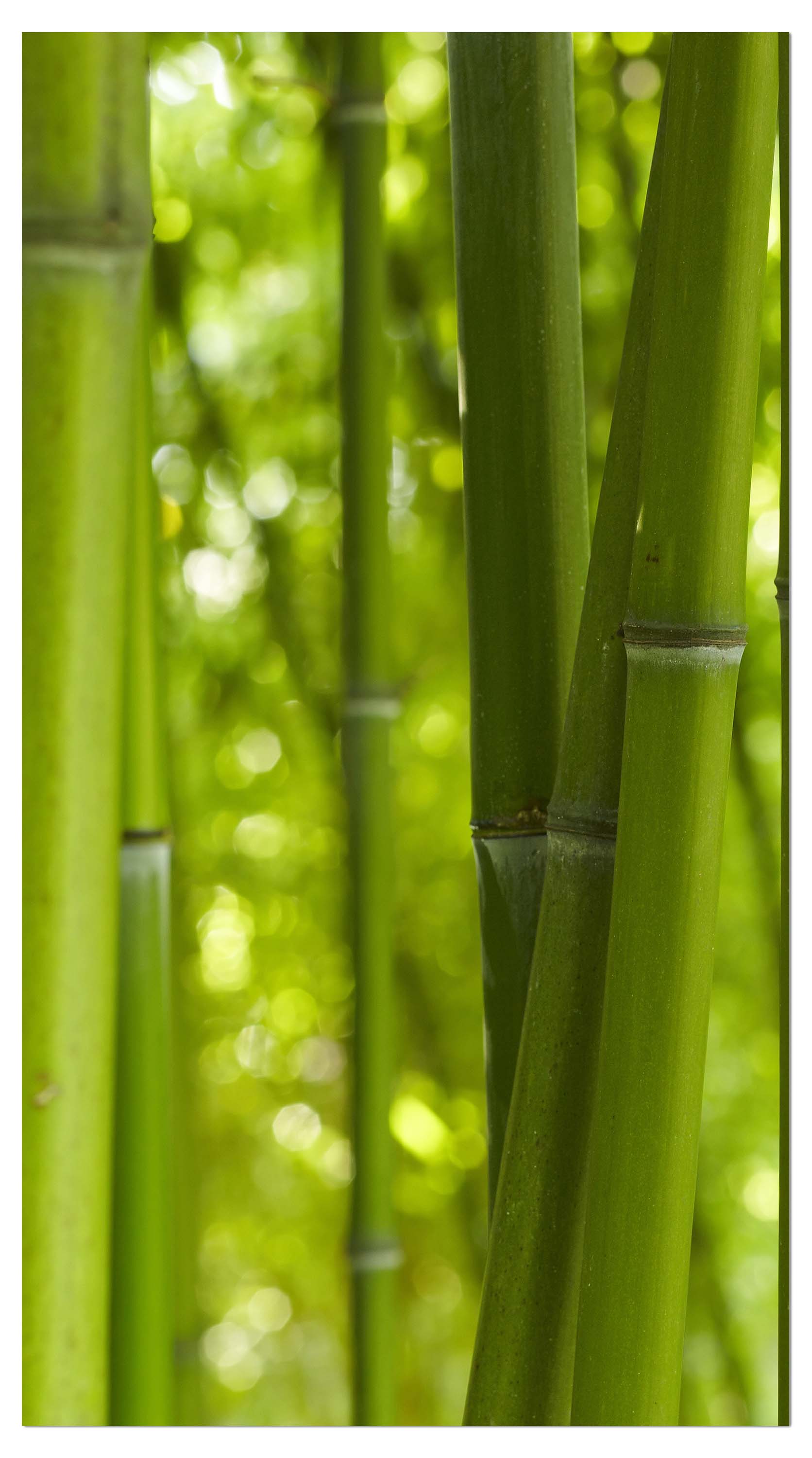 Garderobe Bambus M0003 entdecken - Bild 4