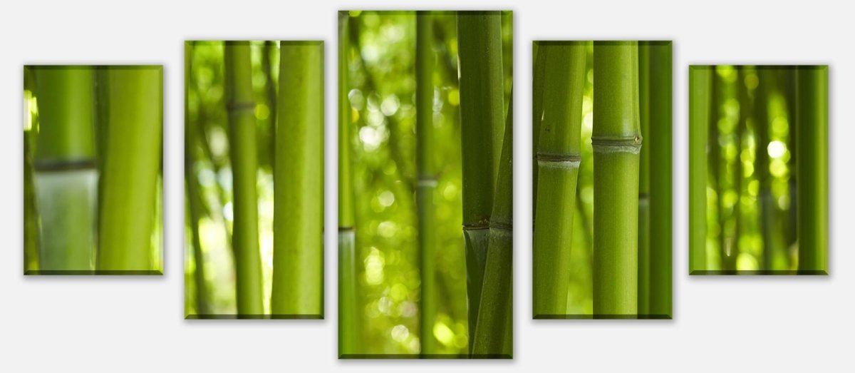 Leinwandbild Mehrteiler Bambus M0003 entdecken - Bild 1