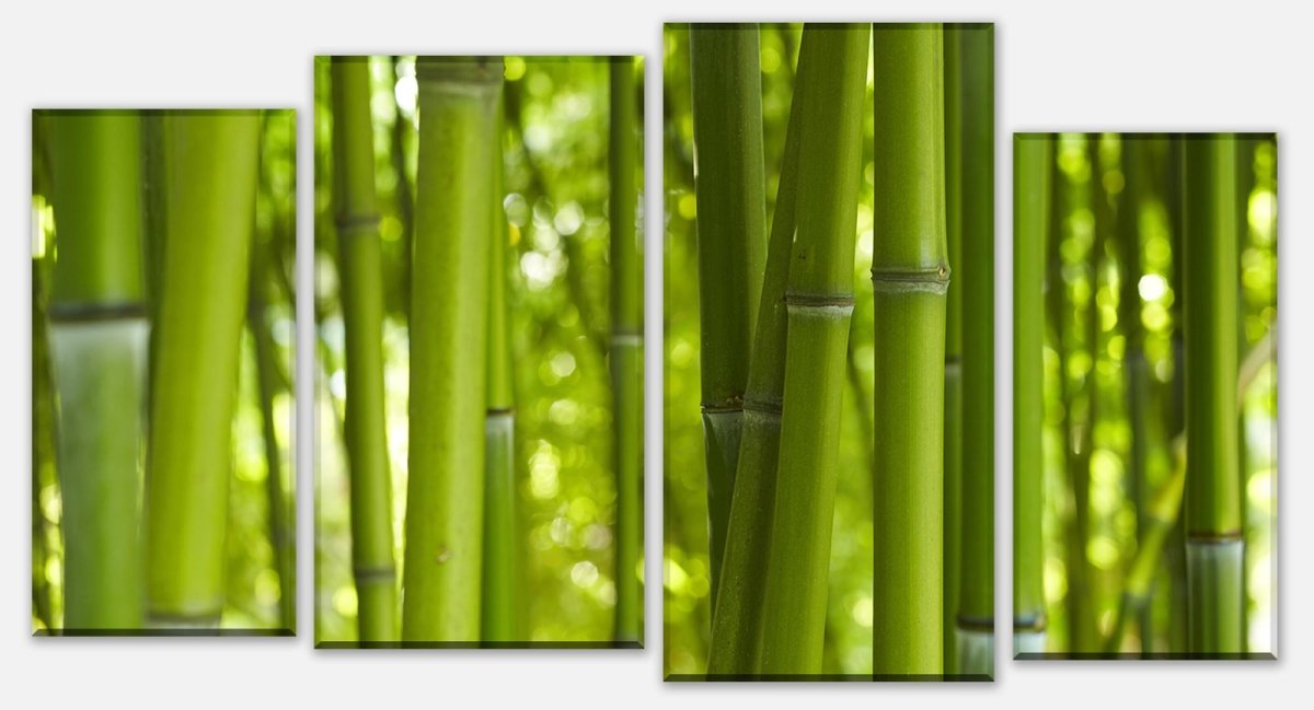 Leinwandbild Mehrteiler Bambus M0003