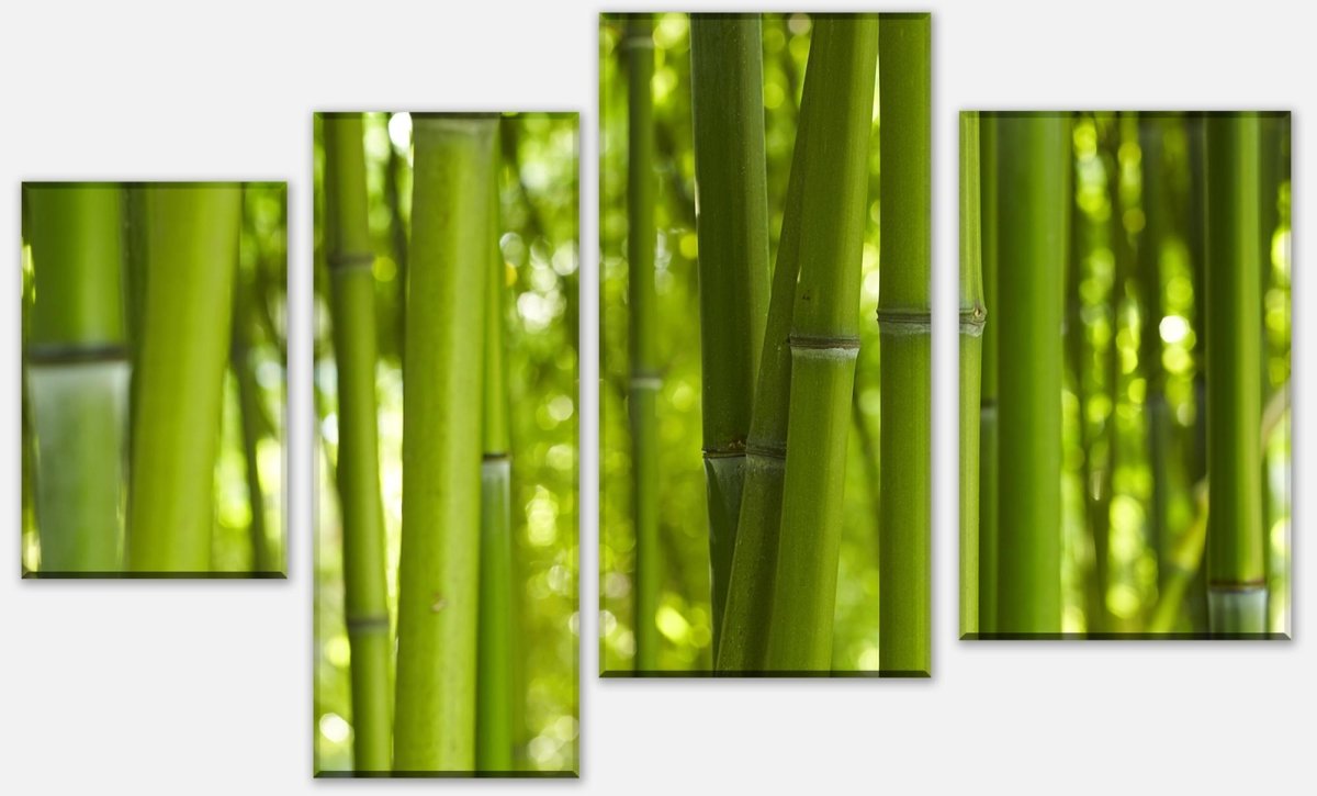 Leinwandbild Mehrteiler Bambus M0003