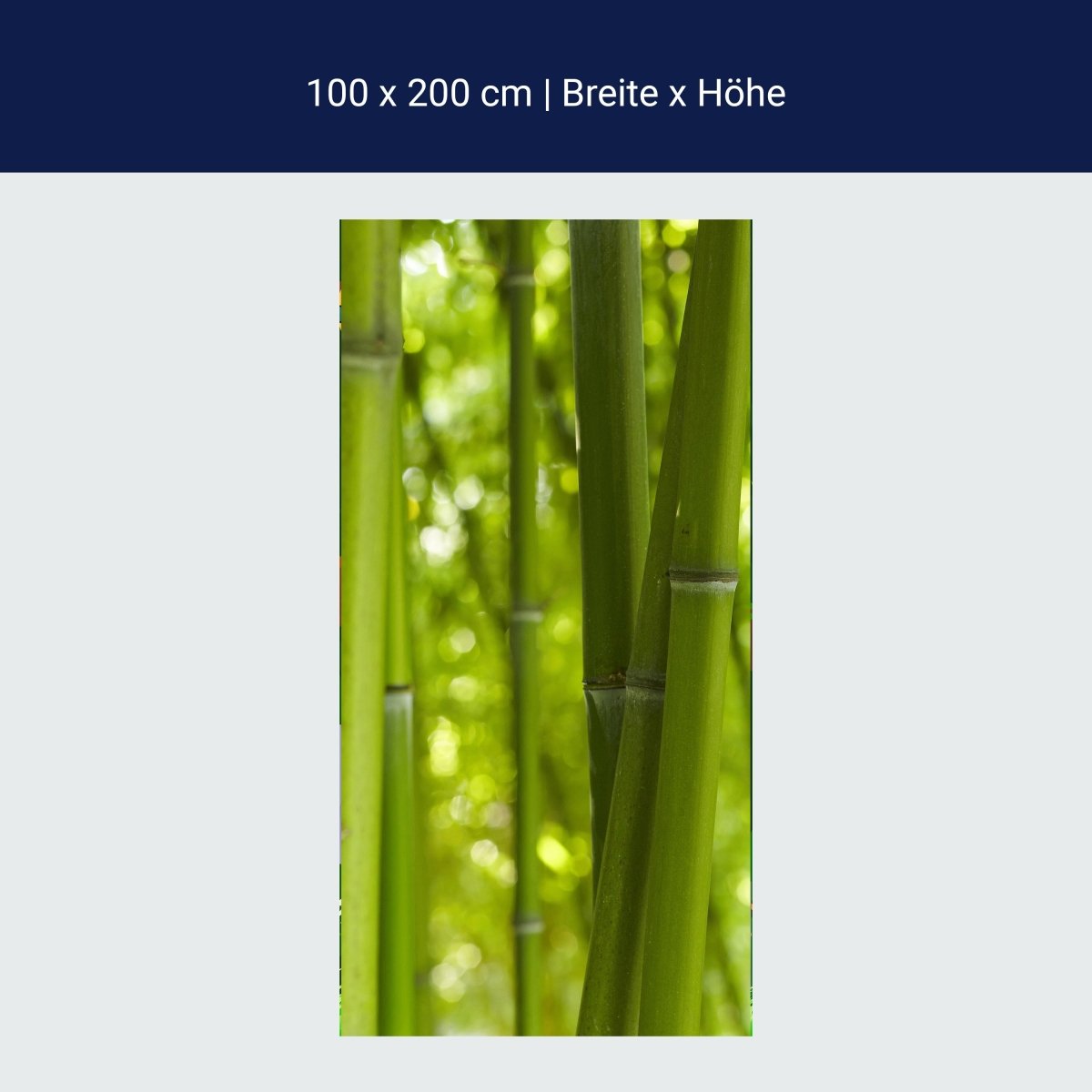 Türtapete Bambus M0003