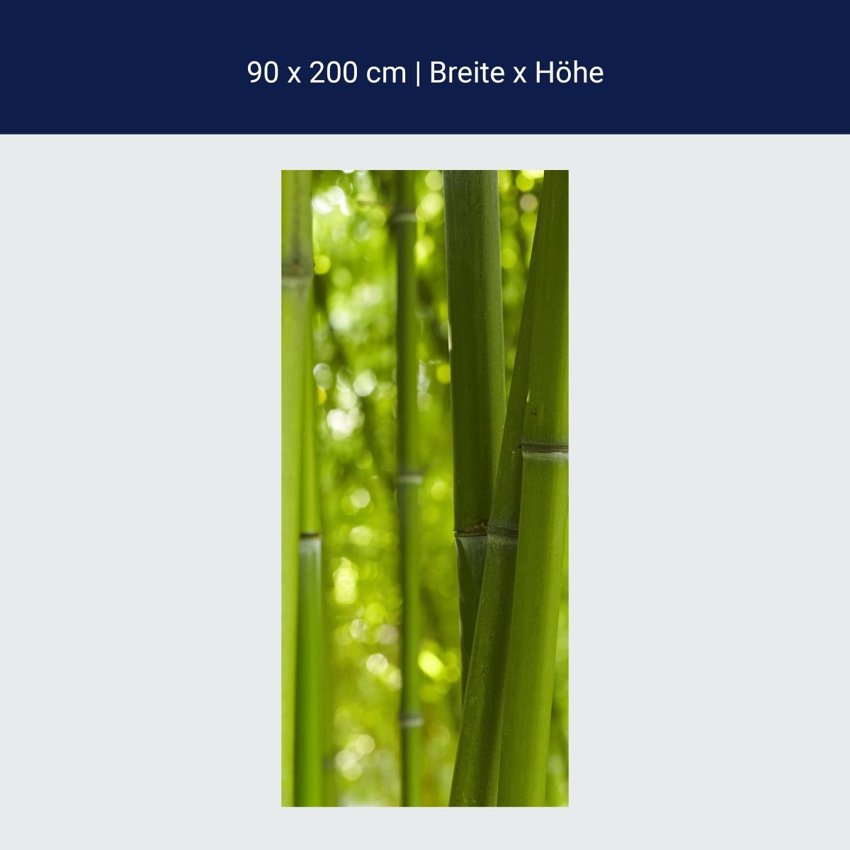 Türtapete Bambus M0003