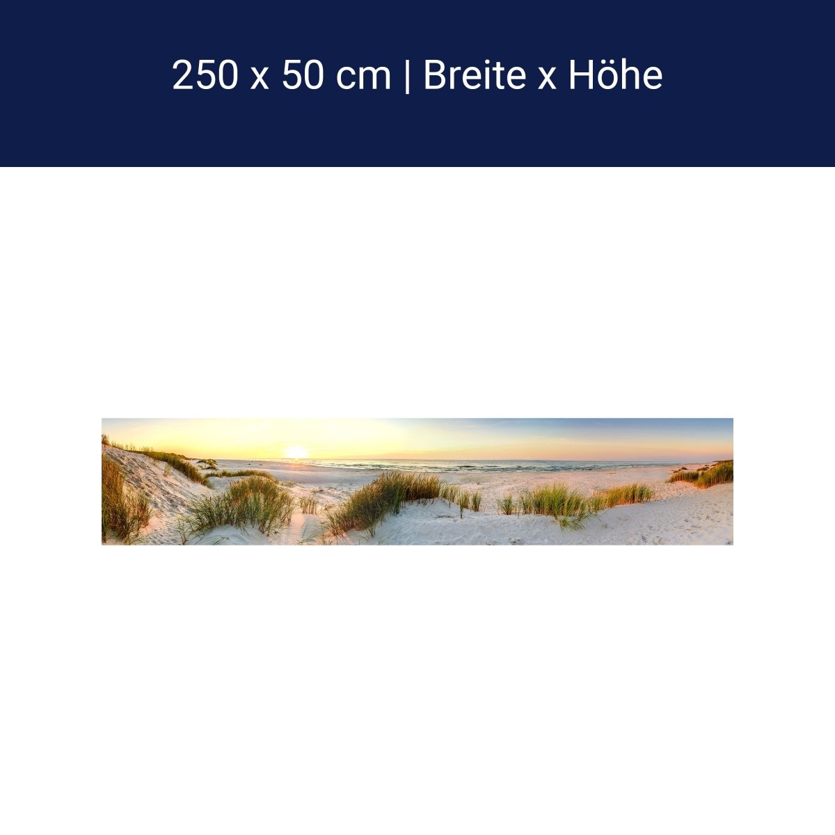 Panorama-Fototapete Meerblick, Strand, Dünen M0013