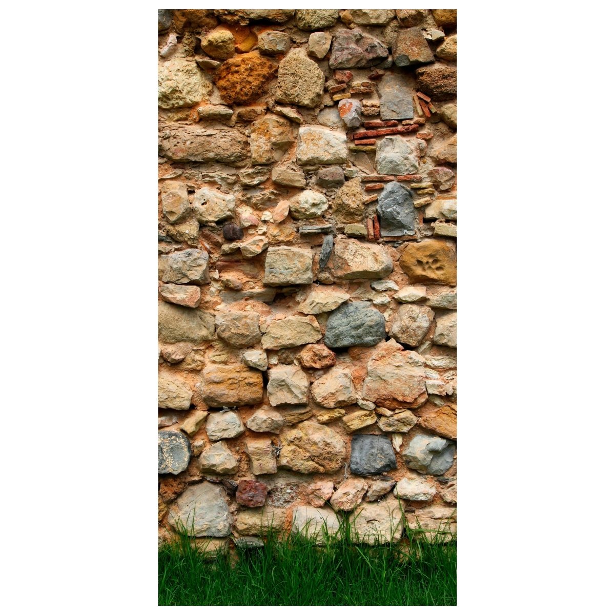 Türtapete Steinmauer mit Gras M0015 - Bild 2