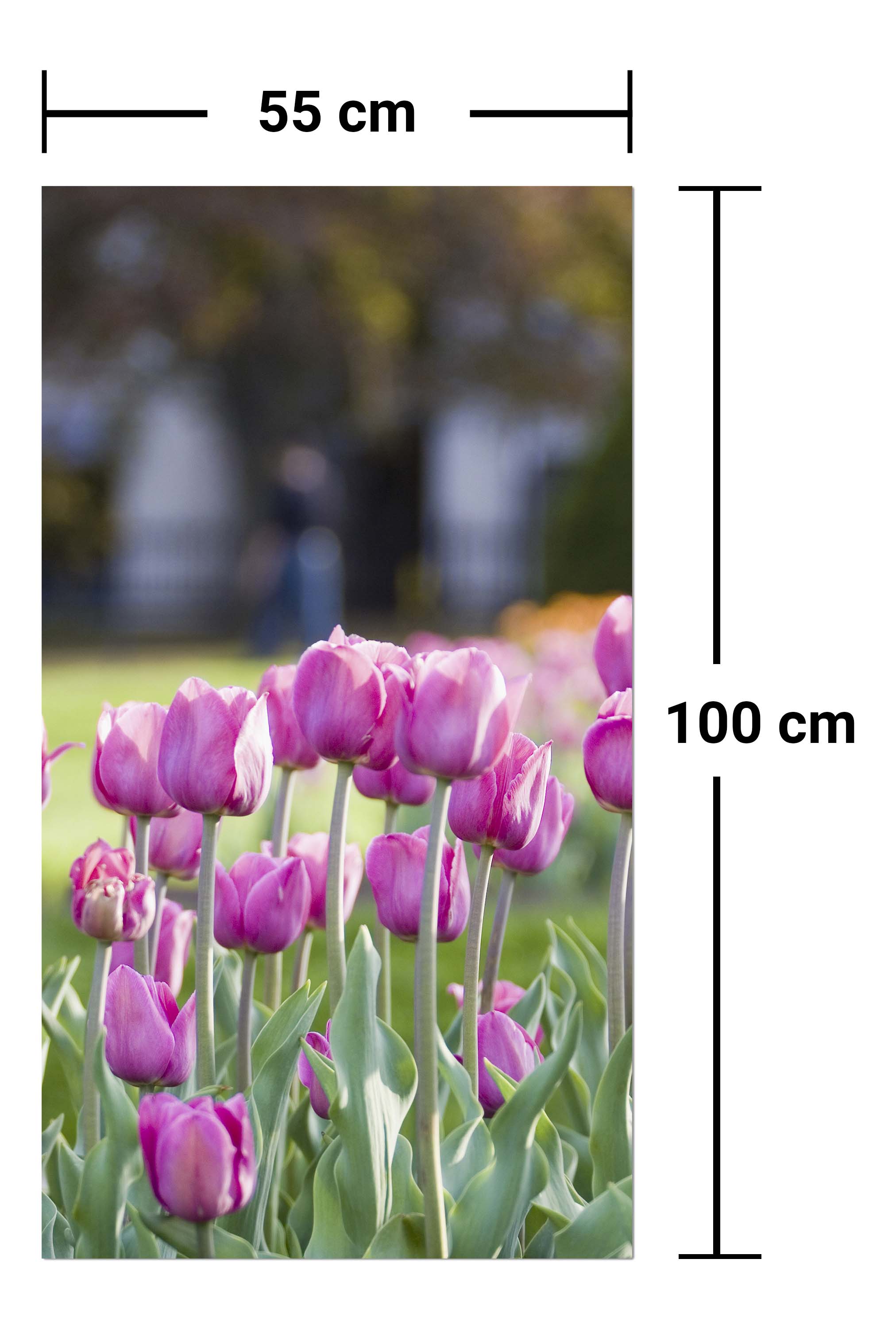 Garderobe Pinke Tulpen M0016 entdecken - Bild 7