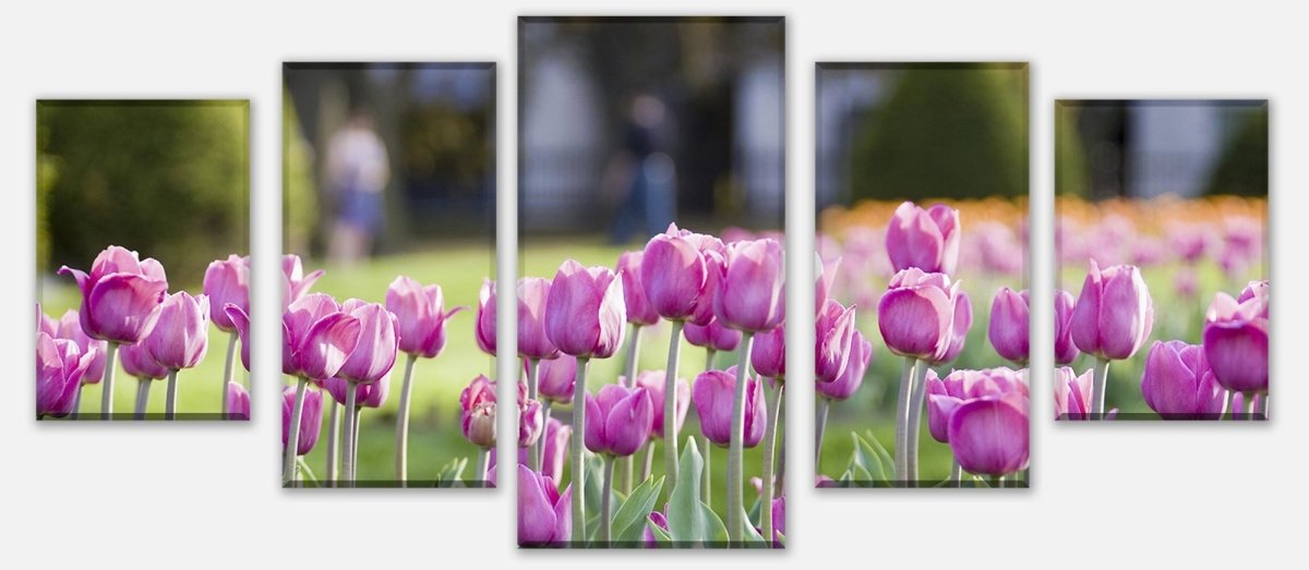 Leinwandbild Mehrteiler Pinke Tulpen M0016 entdecken - Bild 1