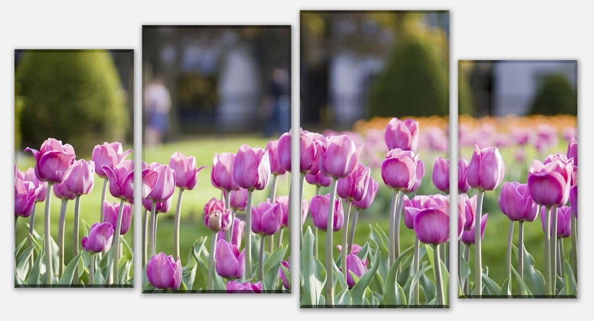 Canvas Print Divider Pink Tulips M0016