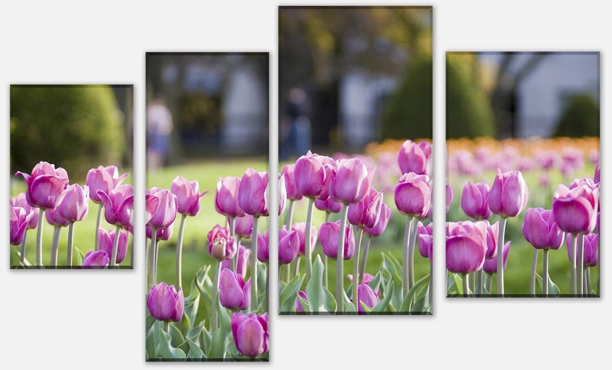 Impression sur toile Intercalaire Tulipes roses M0016