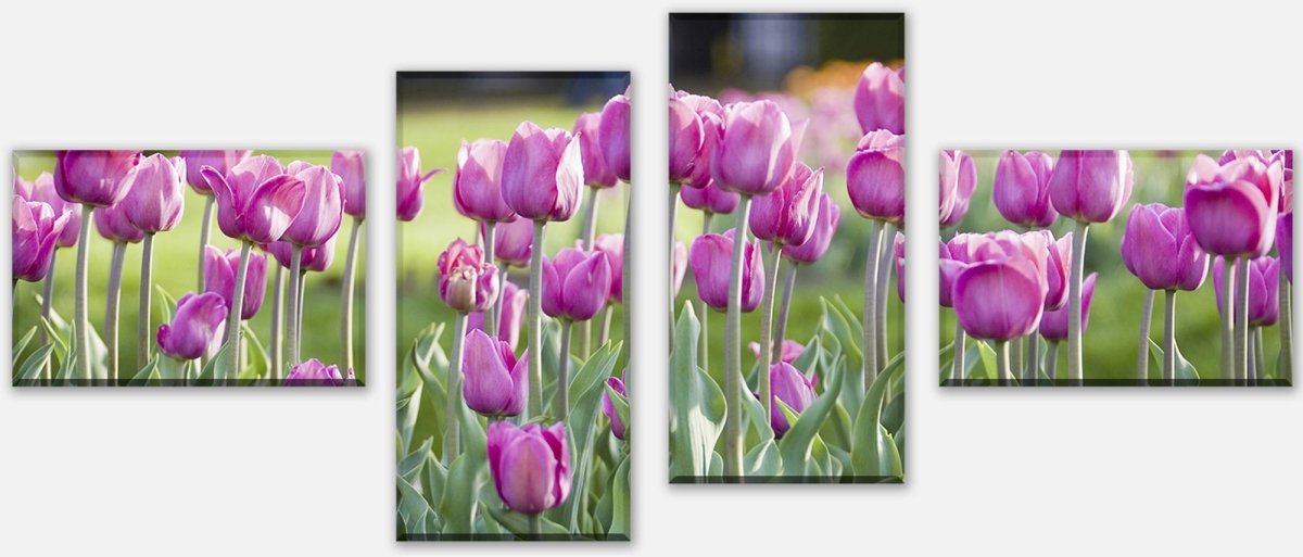 Leinwandbild Mehrteiler Pinke Tulpen M0016