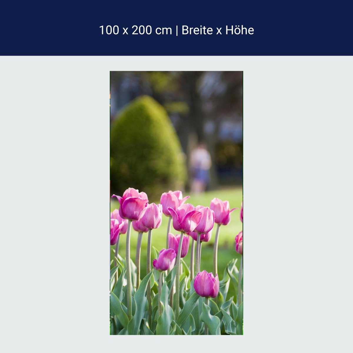 Türtapete Pinke Tulpen M0016