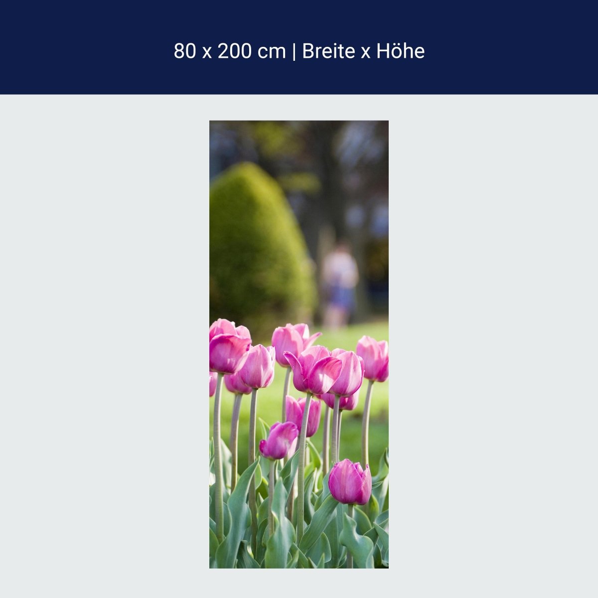 Door wallpaper pink tulips M0016