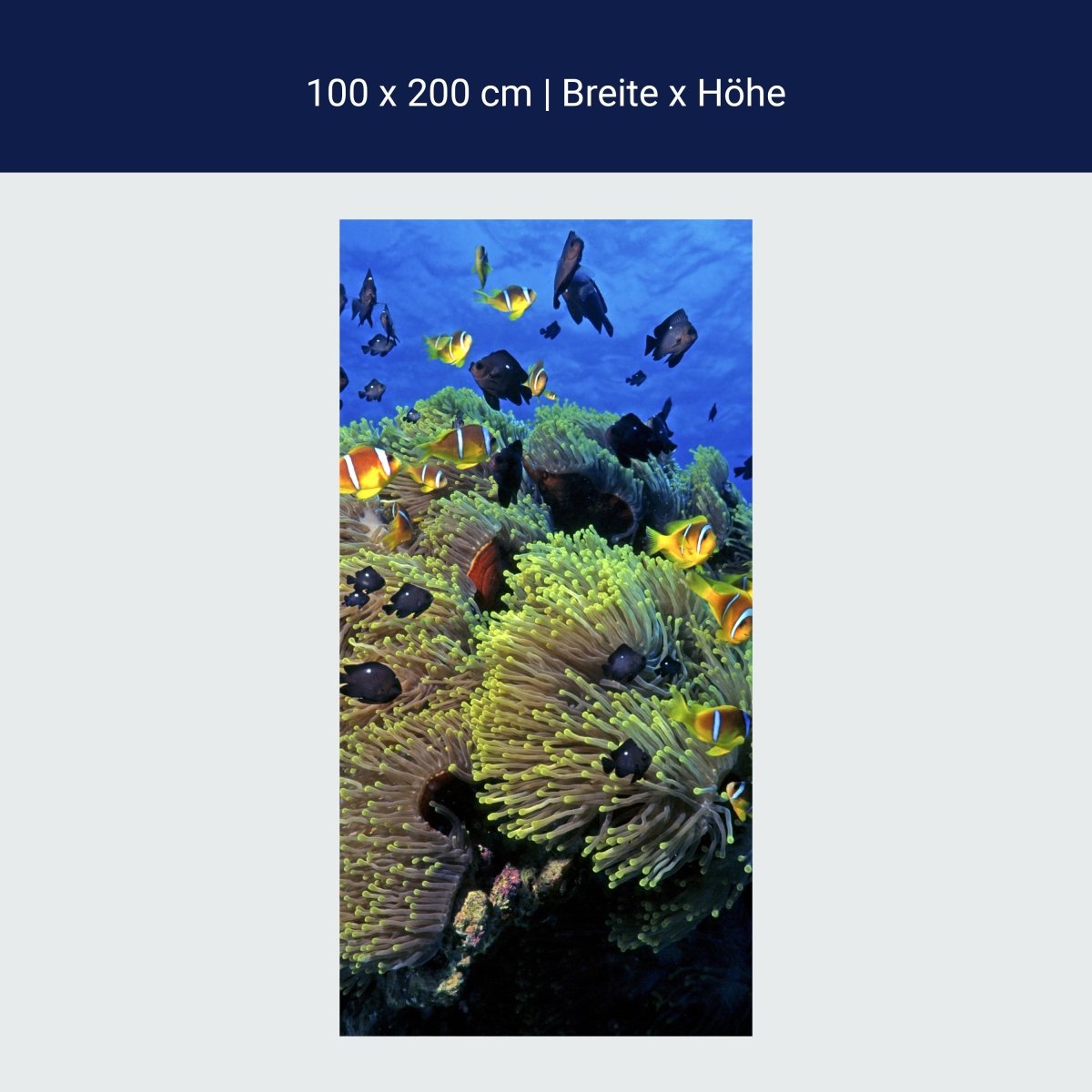 Paroi de douche Underwater Reef M0017
