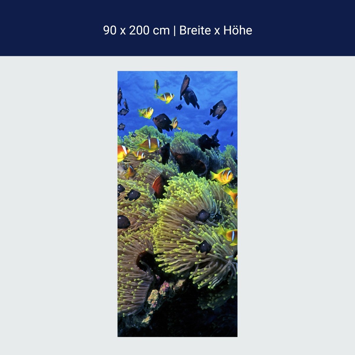 Paroi de douche Underwater Reef M0017
