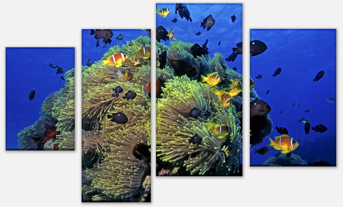 Stretched Canvas Print Underwater Reef M0017