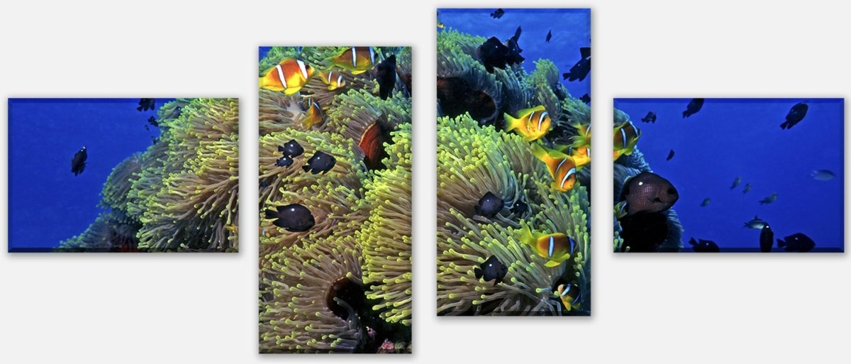 Stretched Canvas Print Underwater Reef M0017