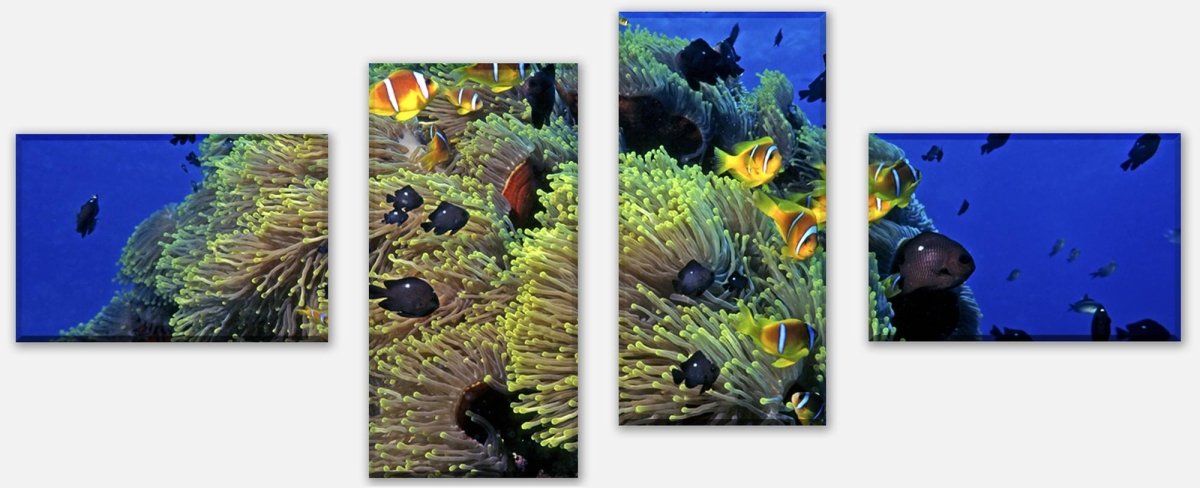 Stretched Canvas Print Underwater Reef M0017