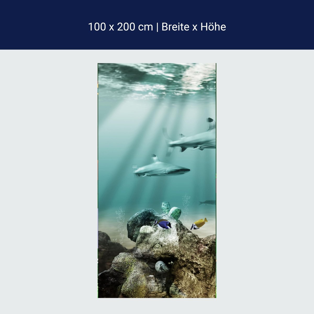 Türtapete Unterwasserschatz M0020
