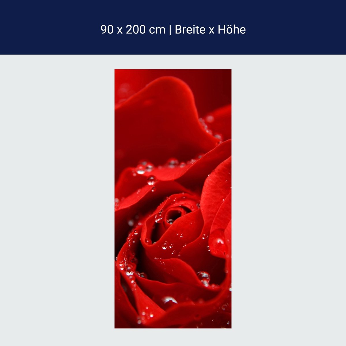 Türtapete Rosenblüte M0038