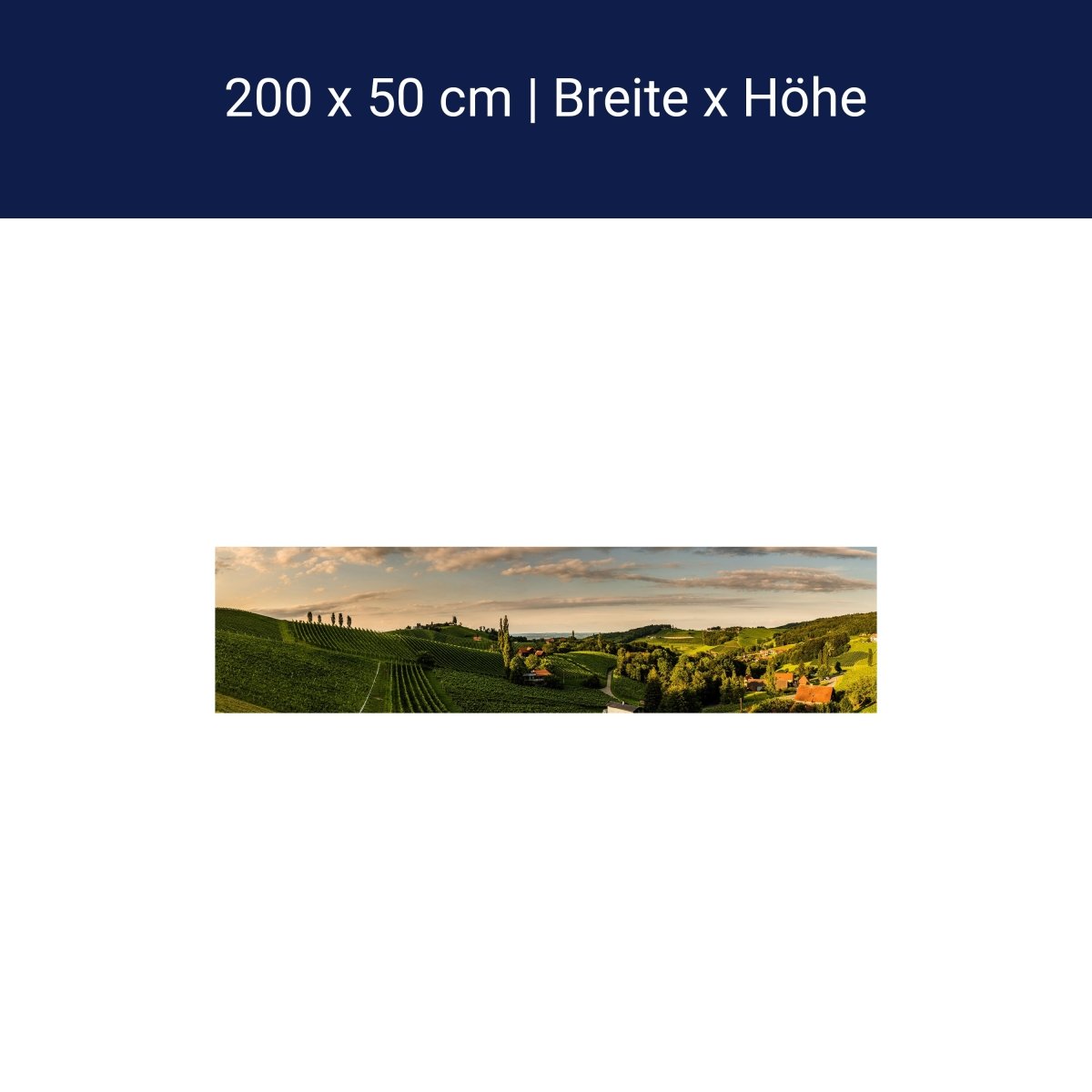 Panorama-Fototapete Idyllisches Weingut M0044