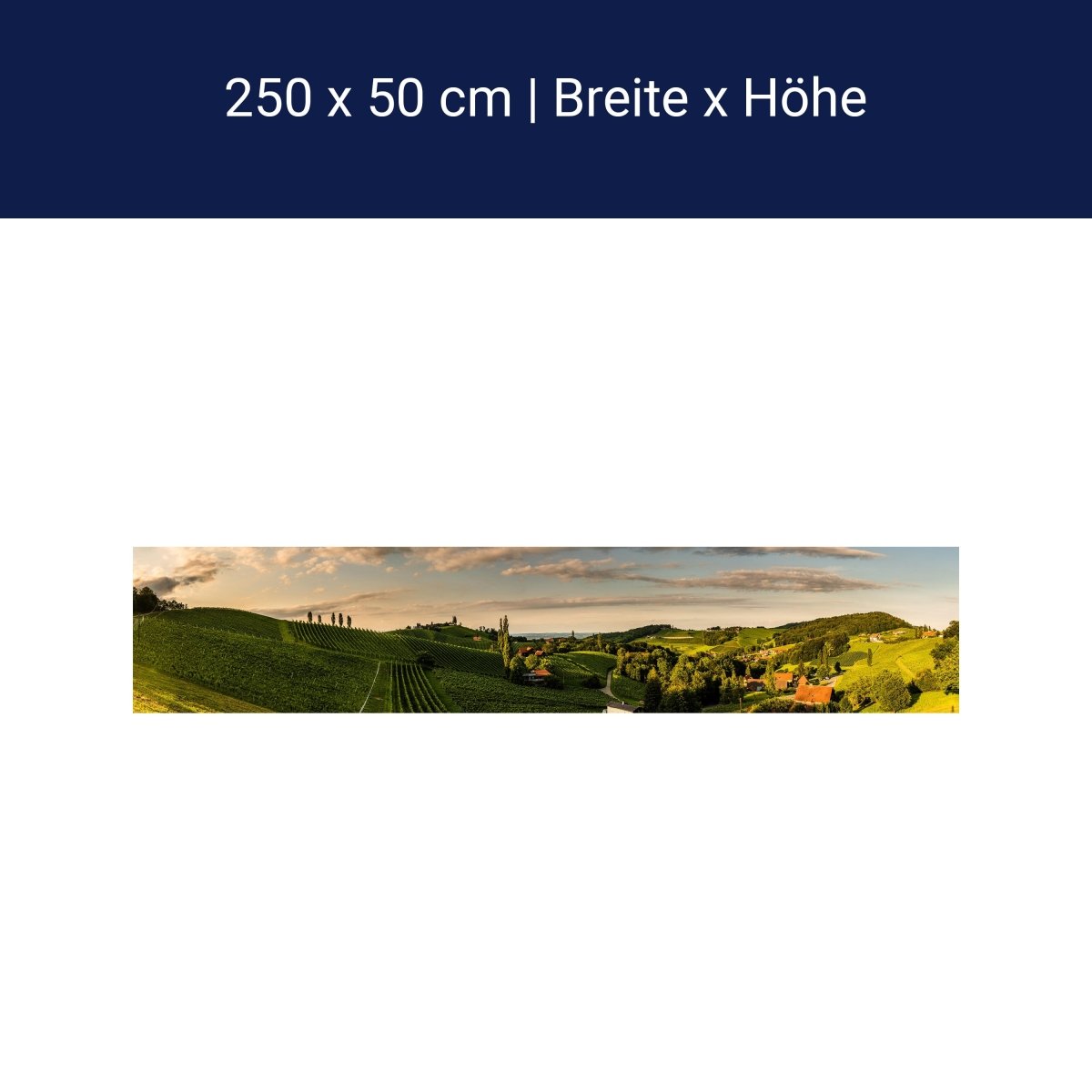 Panorama-Fototapete Idyllisches Weingut M0044