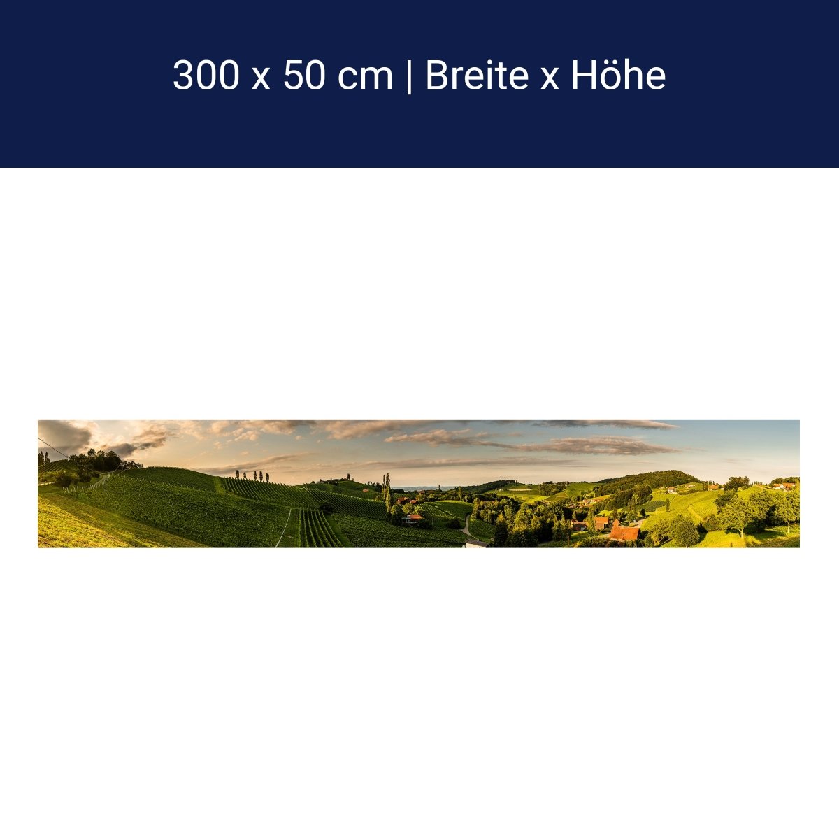 Panorama-Fototapete Idyllisches Weingut M0044