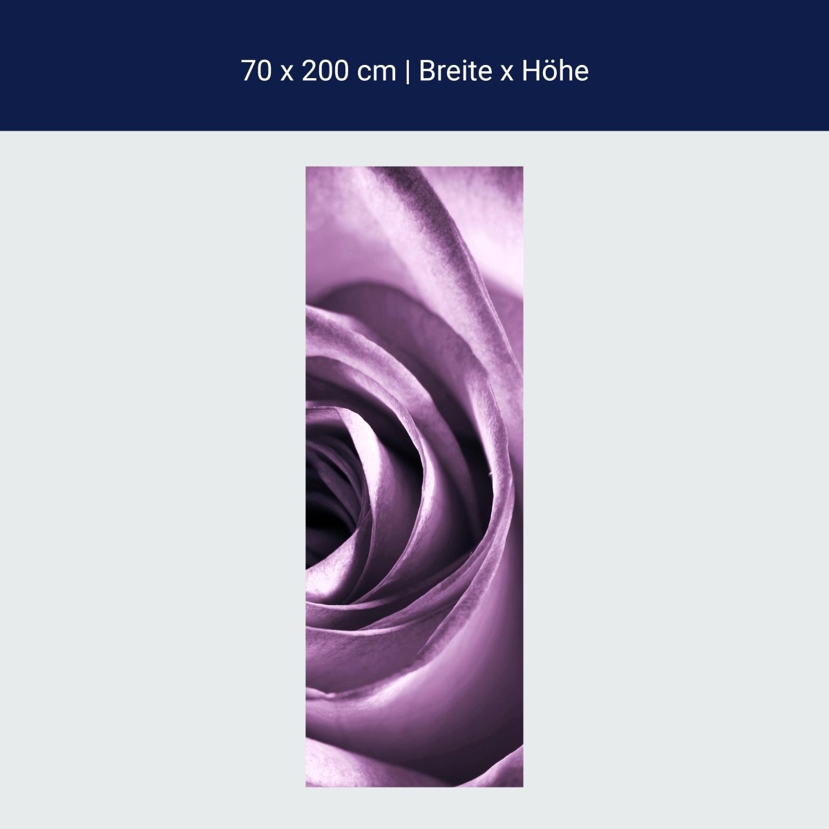 Paroi de douche violet rose M0051