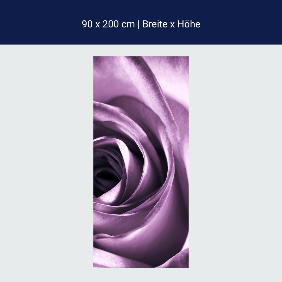 Shower screen purple rose M0051