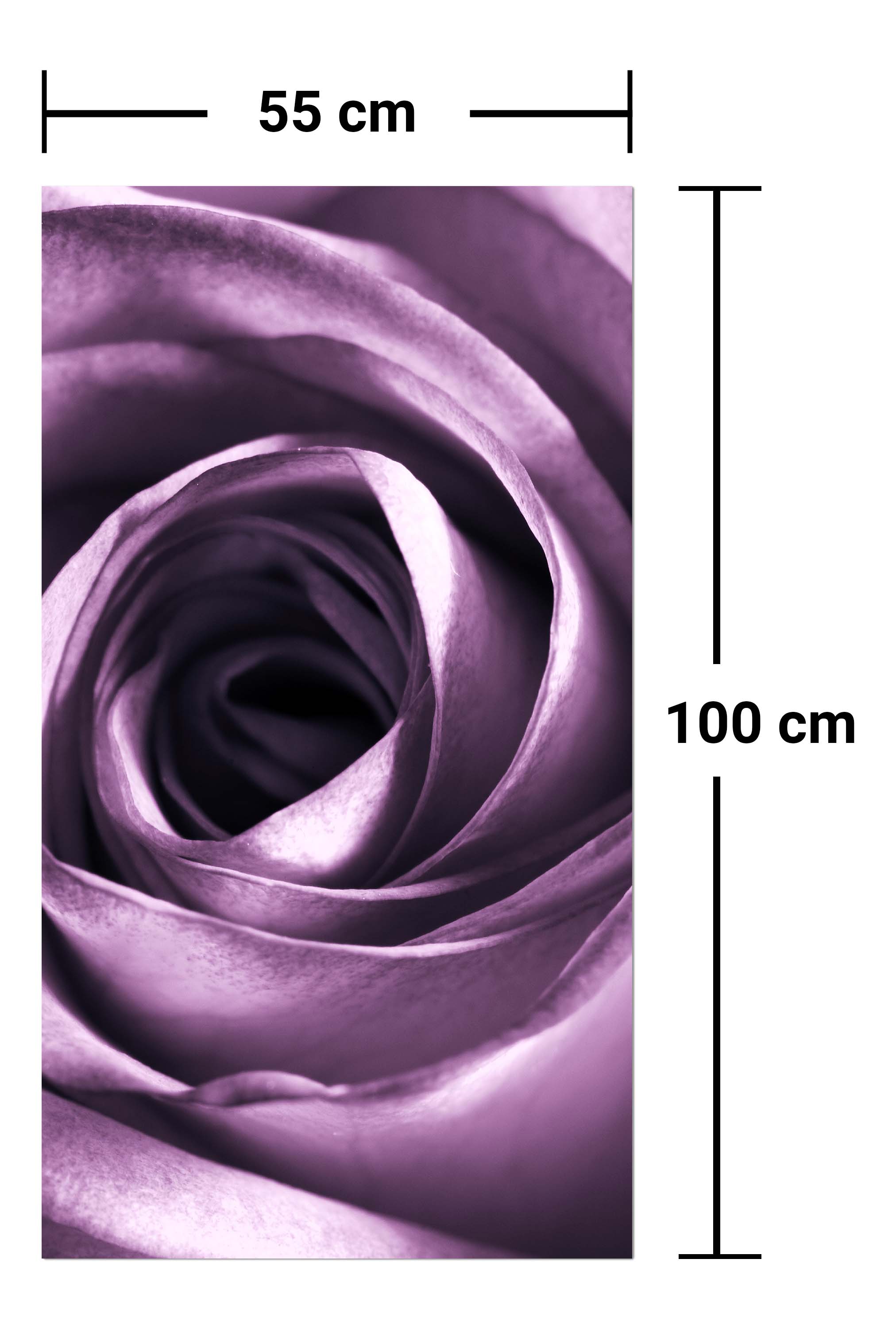 Garderobe violette Rose M0051 entdecken - Bild 7