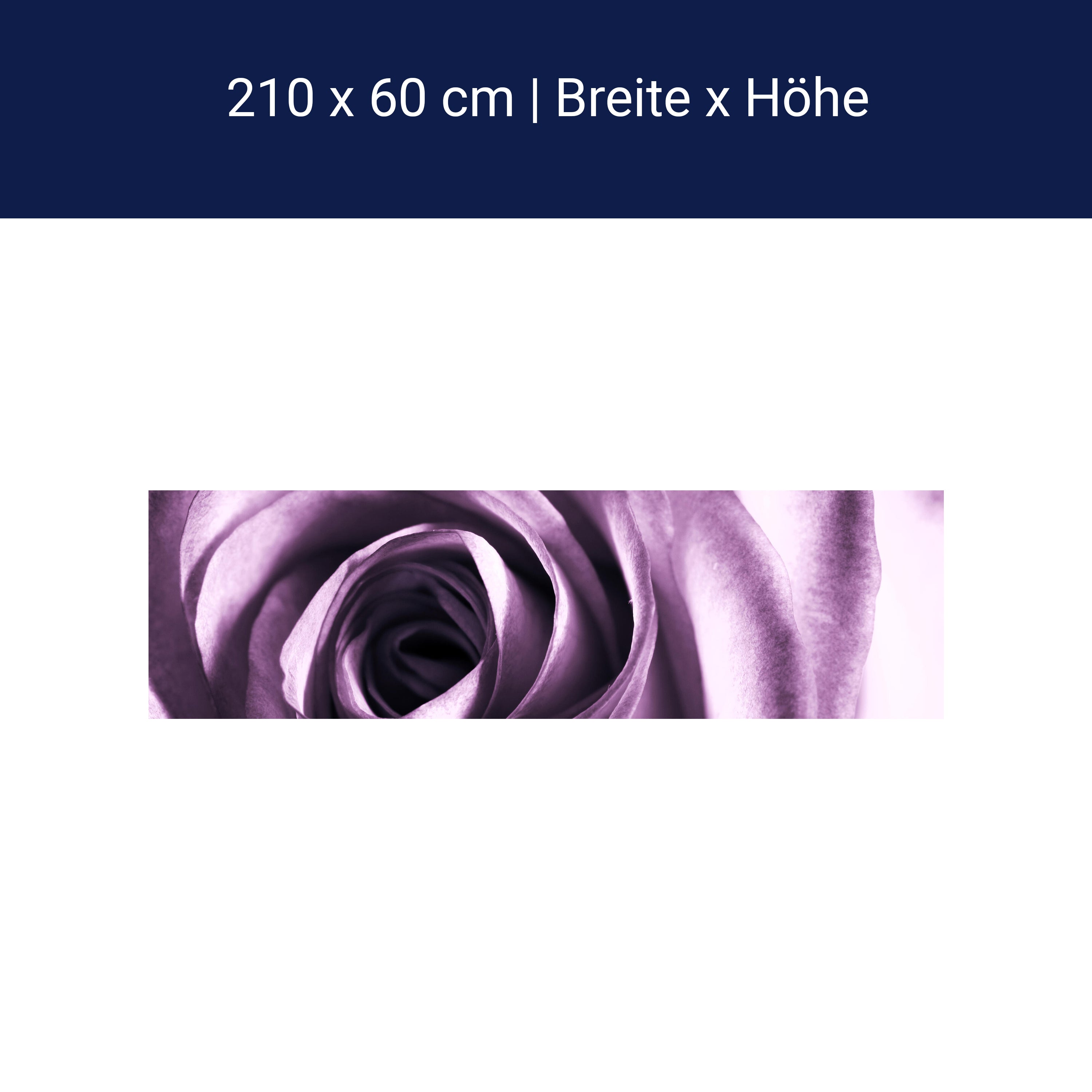 Crédence de cuisine violet rose M0051