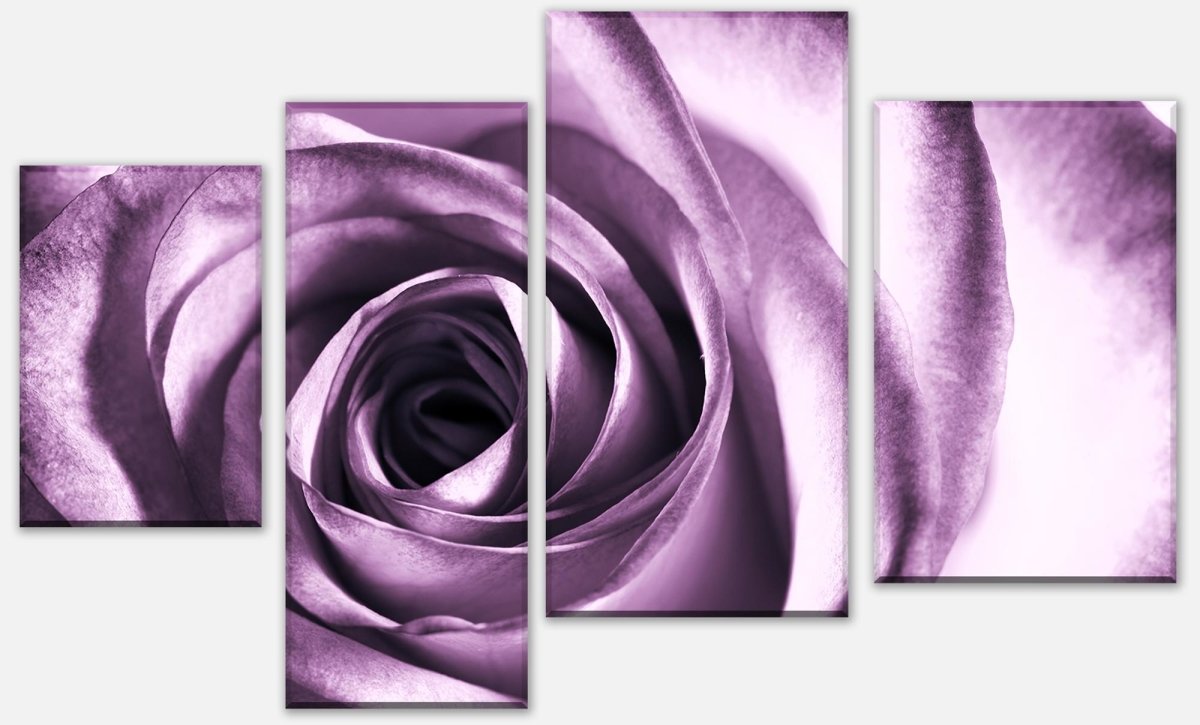 Leinwandbild Mehrteiler violette Rose M0051