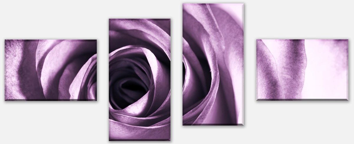 Leinwandbild Mehrteiler violette Rose M0051