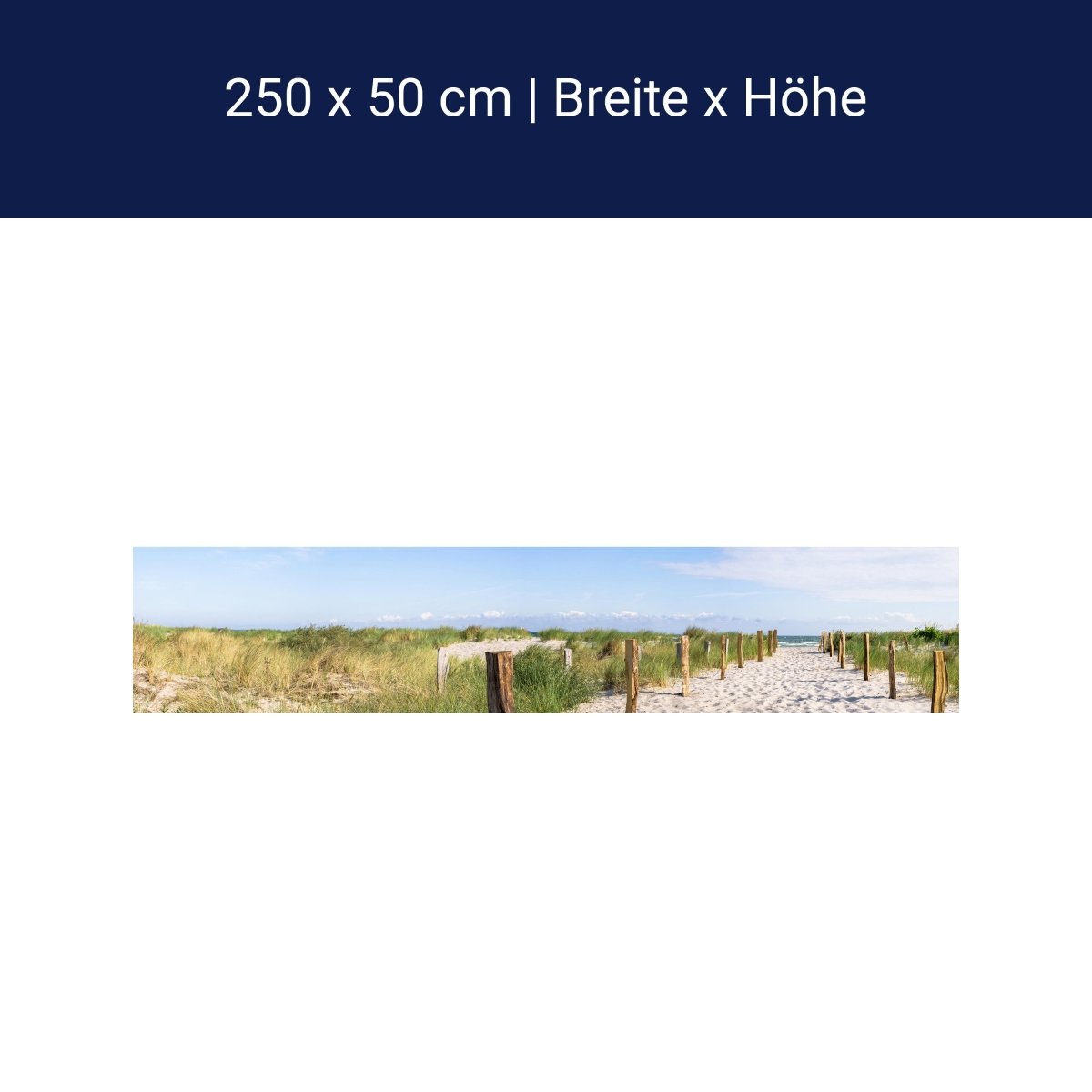 Panoramic photo wallpaper Baltic Sea, beach M0051
