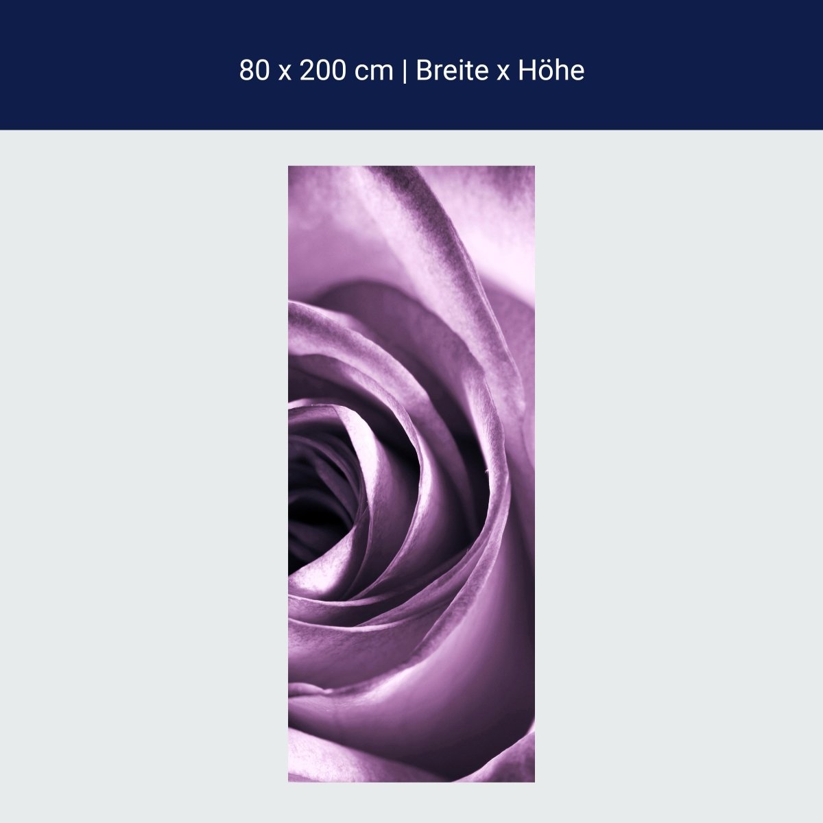 Türtapete violette Rose M0051