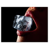 Wandbild Acrylglas Lippen, Eiswürfel im Mund, Eis, Frau M0053