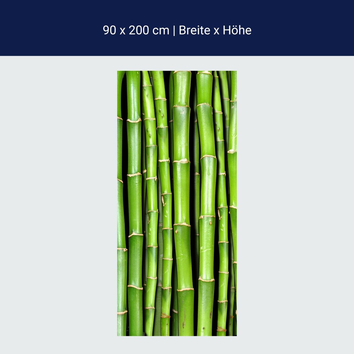 Duschwand Bambuswand M0054