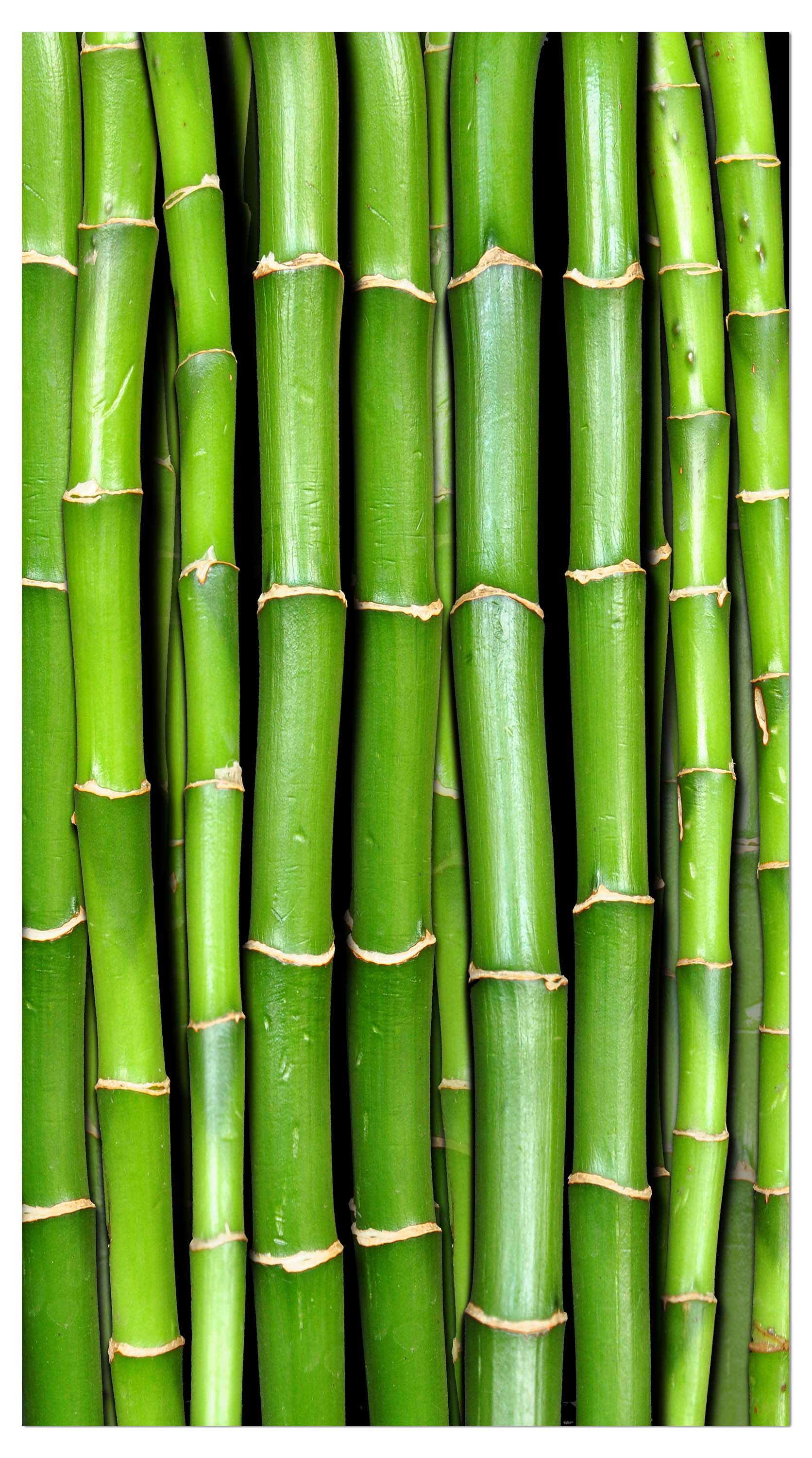 Garderobe Bambuswand M0054 entdecken - Bild 4