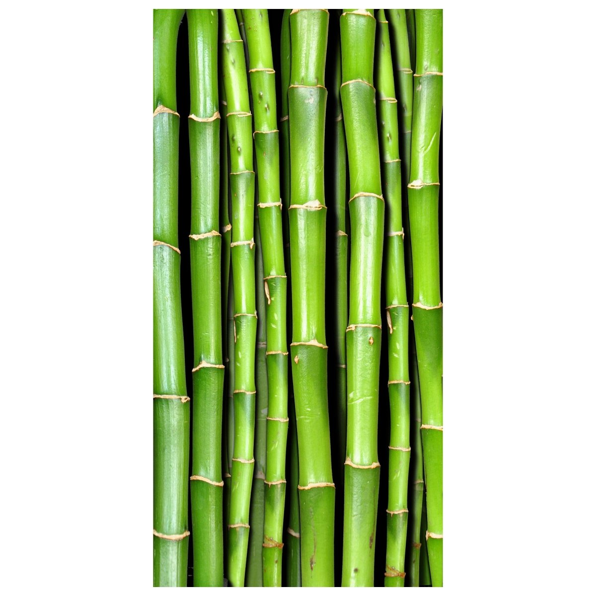 Türtapete Bambuswand M0054 - Bild 2