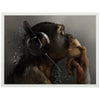 Poster Affe mit Kopfhörer, Headset, Musik, Tiere, Affen M0056