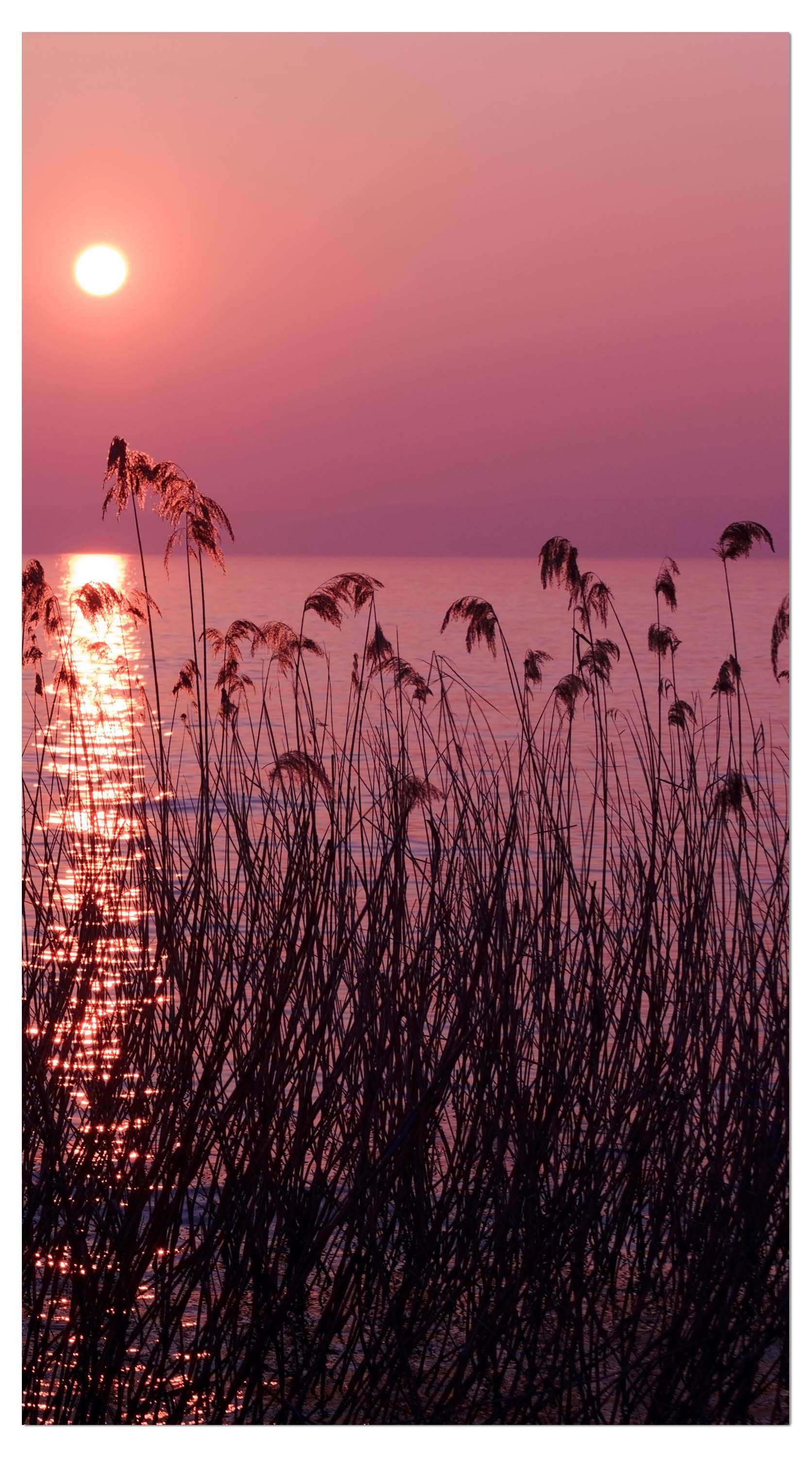 Garderobe See im Abendrot Natur M0172 entdecken - Bild 4